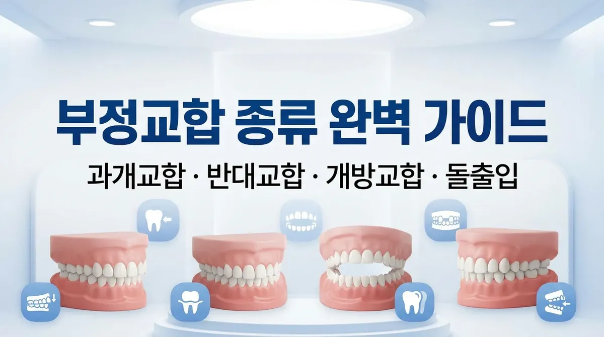 부정교합종류: 과개교합·반대교합·개방교합·돌출입 완전 정리