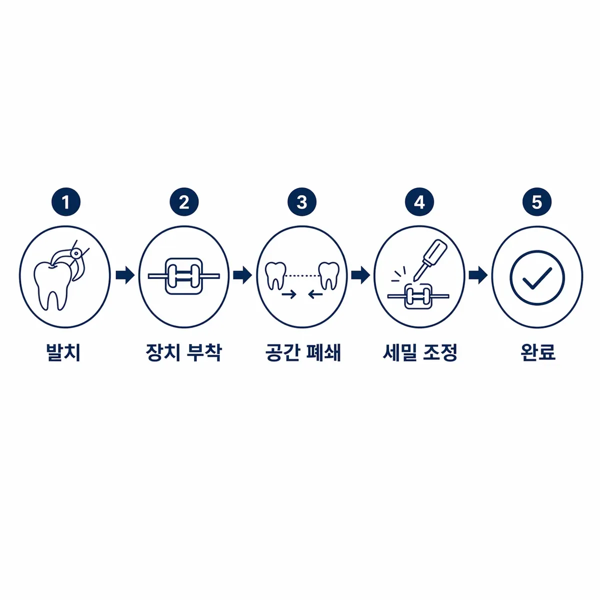발치 교정 순서 타임라인